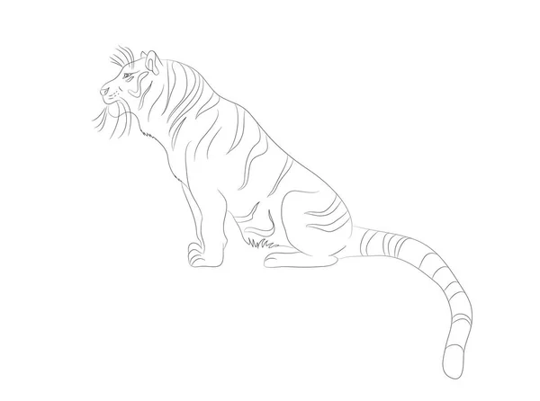 Vector illustration of a tiger who sits, drawing lines — Stock Vector