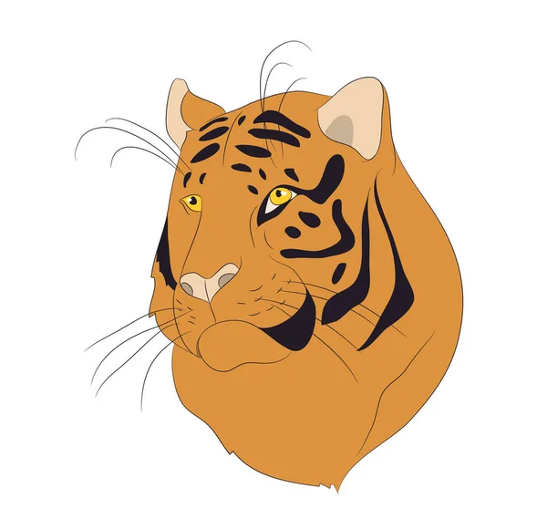 Vector illustration portrait of an orange tiger, vector — Stock Vector