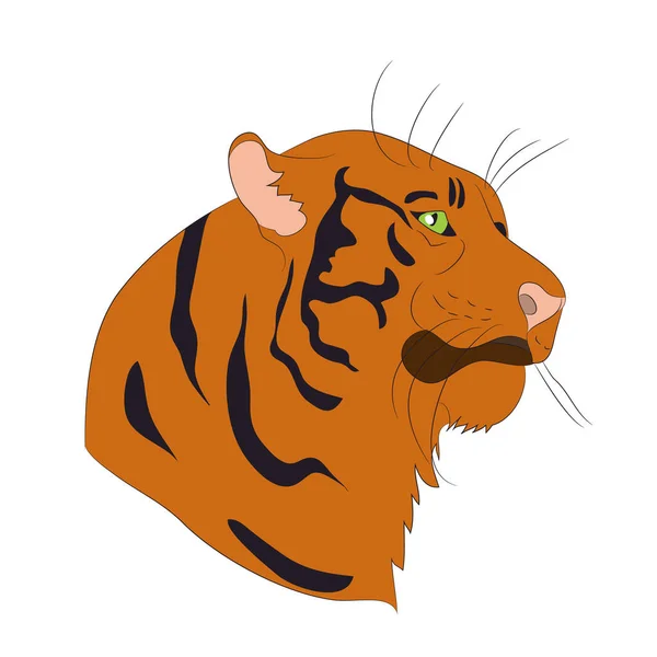 Vector illustration portrait of an orange tiger, vector — Stock Vector