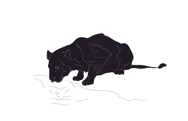 Illustration vectorielle d'une lionne qui boit de l'eau, silhouette — Image vectorielle