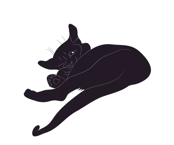 Vector illustration of a cat, which lies risk silhouette — Stock Vector