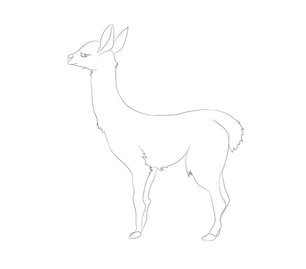 Gambar vektor dari alpaca yang berdiri, gambar baris - Stok Vektor