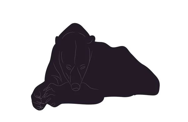 Vektorillustration eines Eisbären, der lügt und Silhouette zeichnet — Stockvektor