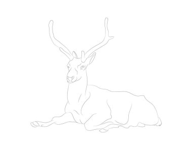 yalan söyleyen bir geyiğin vektör illüstrasyonu, çizim çizgileri, vektör