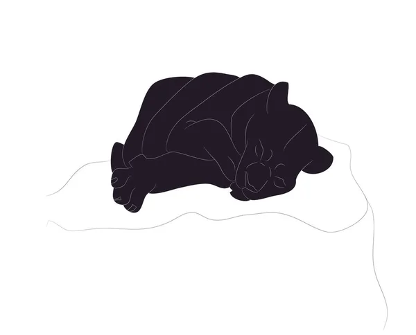 Vector ilustración de una leona durmiendo, silueta de dibujo, v — Archivo Imágenes Vectoriales