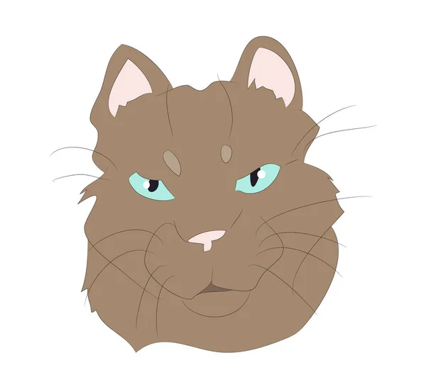 Gato retrato, vector, fondo blanco — Vector de stock