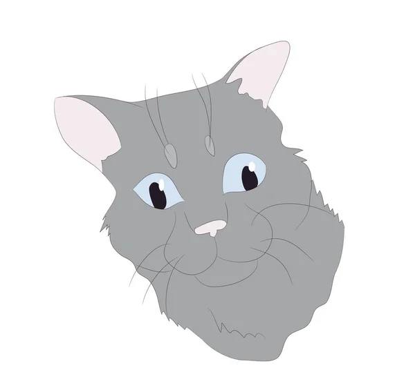 Gato retrato, vector, fondo blanco — Vector de stock