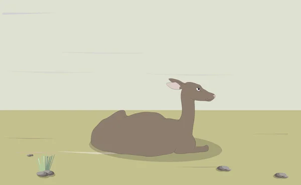 Illustration vectorielle d'une femelle cerf qui repose sur la nature — Image vectorielle