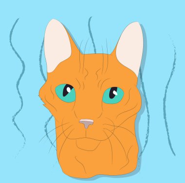 renkli bir backgrou üzerinde bir kedi portresi vektör illüstrasyon