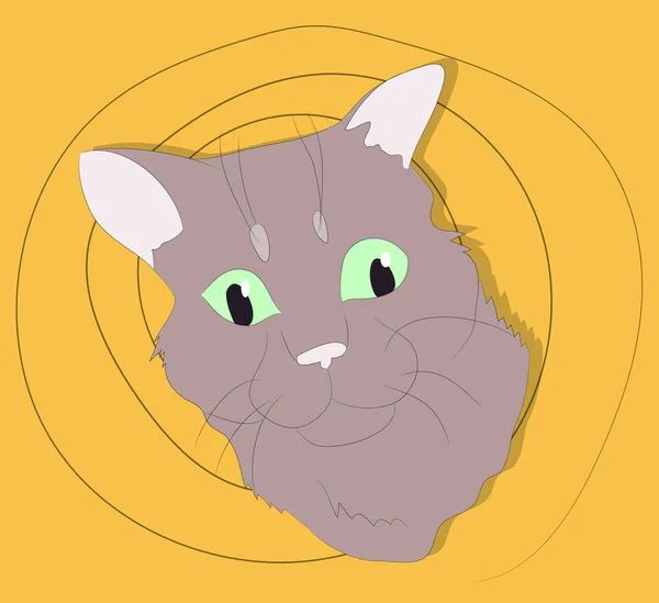 컬러 백그루에 고양이의 초상화의 벡터 그림 — 스톡 벡터