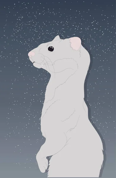 Fret of Mink portret vector illustratie, tekening kleur — Stockvector