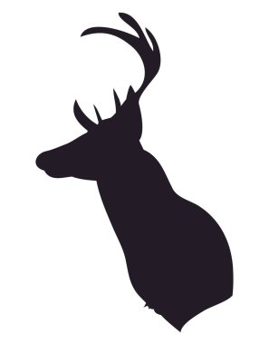 geyik portre siluet, vektör