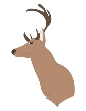 geyik portre, vektör çizim rengi