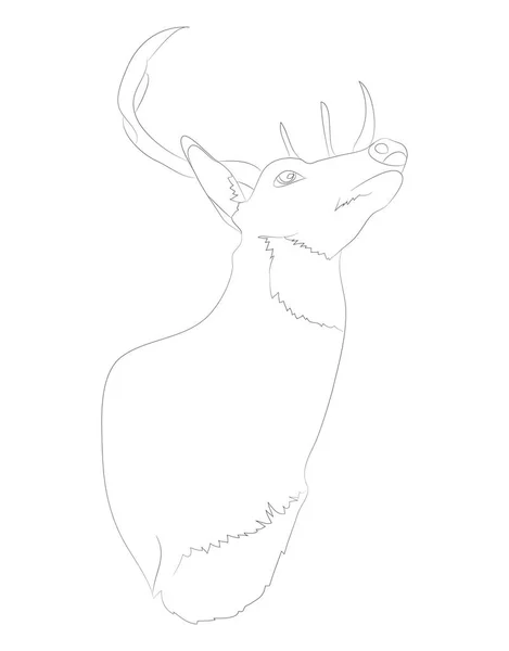Векторная иллюстрация портрета оленя, рисунок линии, вектор — стоковый вектор