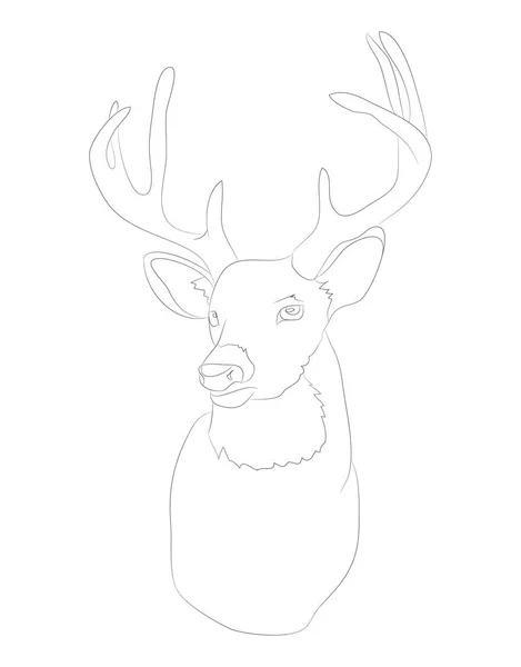 Deer portrait vector illustration, line drawing, vector — Stock Vector