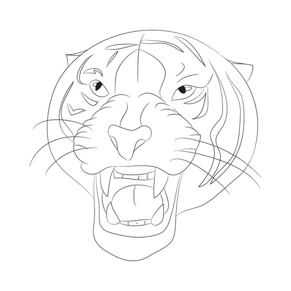 Vector ilustracja portret linie Tygrys — Wektor stockowy