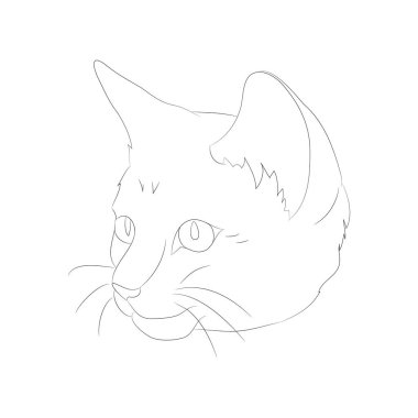 vektör illüstrasyon kedi portresi, çizgiler, vektör