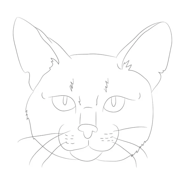 Векторная иллюстрация кошачий портрет, линии, вектор — стоковый вектор