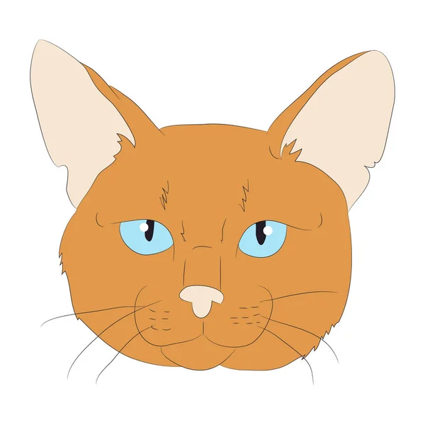 Gato retrato, vector, fondo blanco — Vector de stock