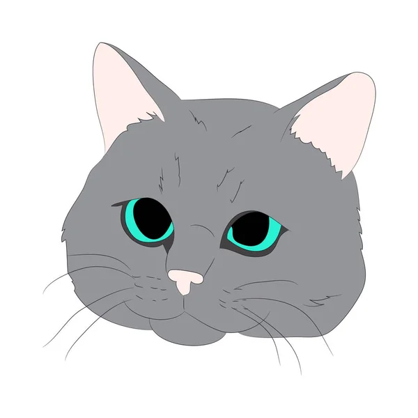 Cat portrait, vector, white background — Stock Vector