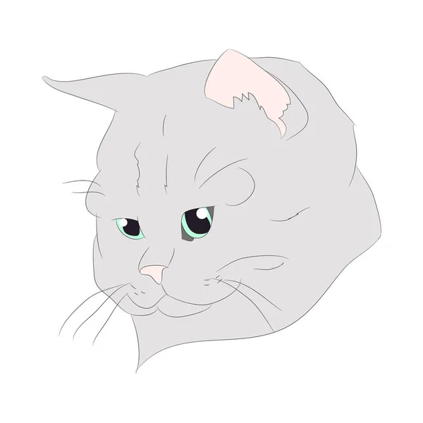 Retrato de gato, vetor, fundo branco — Vetor de Stock