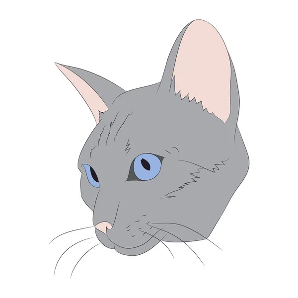 Portrait de chat, vecteur, fond blanc — Image vectorielle