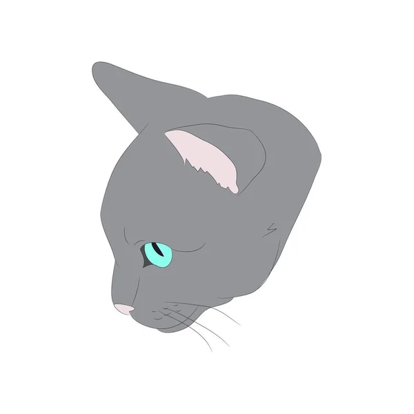 Gato retrato, vector, fondo blanco — Vector de stock