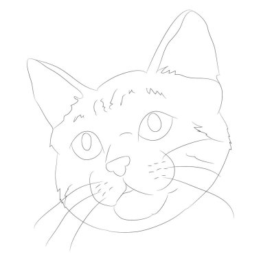 vektör illüstrasyon kedi portresi, çizgiler, vektör