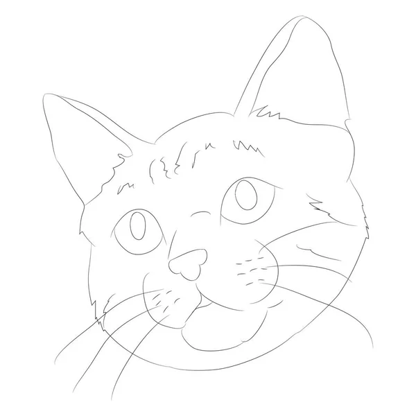 Illustration vectorielle chat portrait, lignes, vecteur — Image vectorielle