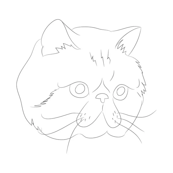 Vector ilustración gato retrato, líneas, vector — Archivo Imágenes Vectoriales