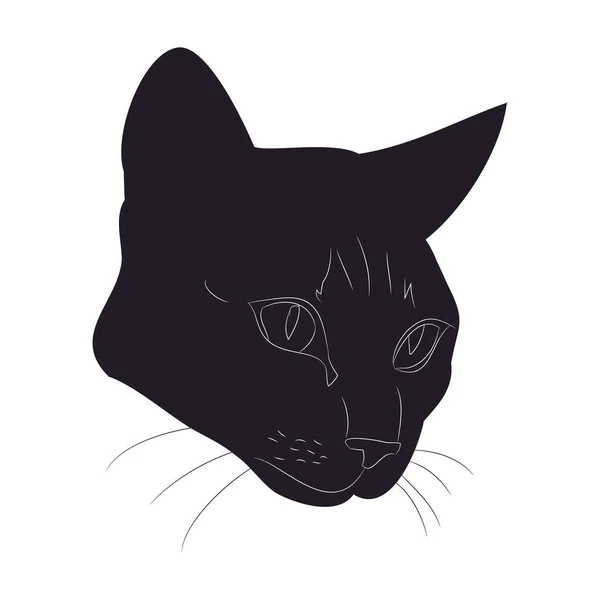 Vector illustratie van kat portret, tekening silhouet, Vector, — Stockvector