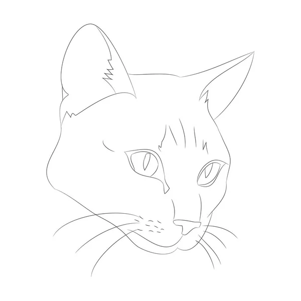 Ilustração vetorial retrato de gato, linhas, vetor —  Vetores de Stock