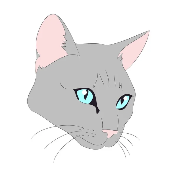 Katt porträtt, vektor, vit bakgrund — Stock vektor