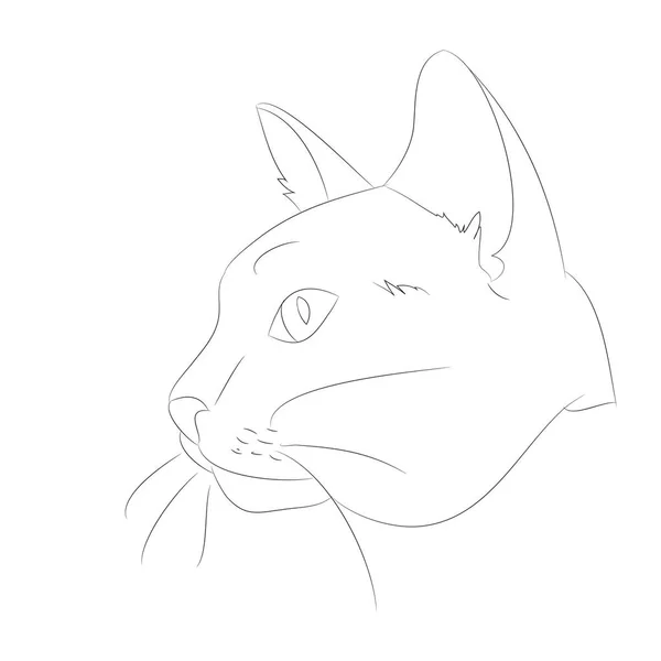 Vector ilustración gato retrato, líneas, vector — Archivo Imágenes Vectoriales