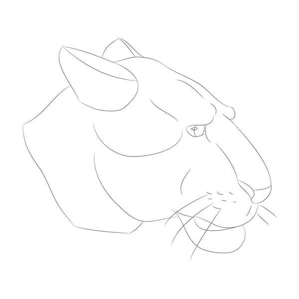 Lionne portrait vectoriel illustration, lignes dessin — Image vectorielle