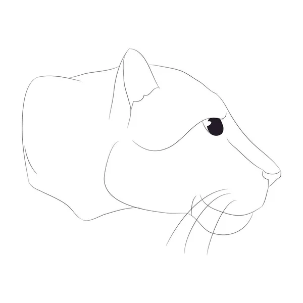 Retrato de leoa ilustração vetorial, linhas drawin —  Vetores de Stock
