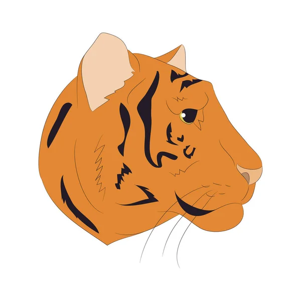 Vector illustration portrait of an orange tiger, vector — Stock Vector