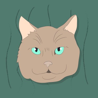 renkli bir backgrou üzerinde bir kedi portresi vektör illüstrasyon