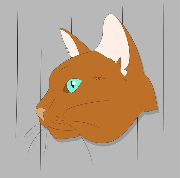 Ilustración vectorial de un retrato de un gato sobre un fondo de color — Vector de stock