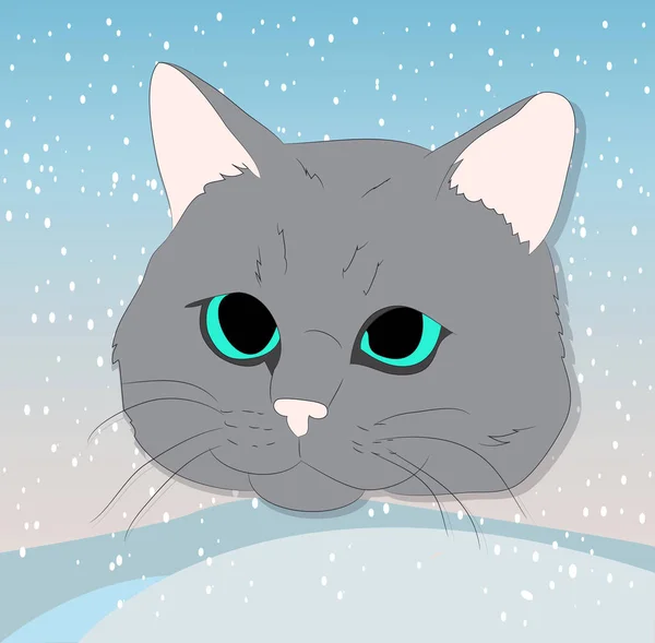 컬러 백그루에 고양이의 초상화의 벡터 그림 — 스톡 벡터