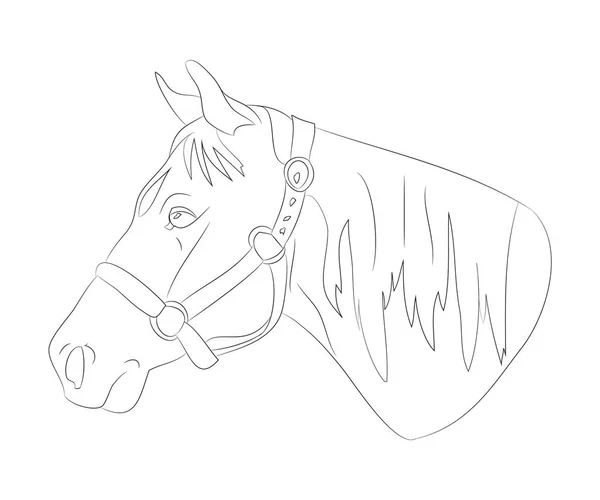 Cavalo retrato vetor ilustração, desenho de linha —  Vetores de Stock