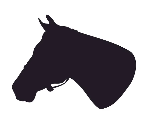 Horse portrait vector illustration, silhouette drawing — ストックベクタ