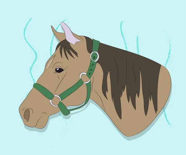 색 배경에 있는 말의 초상화 벡터 삽화 — 스톡 벡터