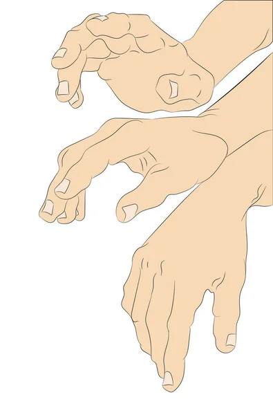 Illustration Vectorielle Des Mains Dessin Couleur Vecteur Fond Blanc — Image vectorielle