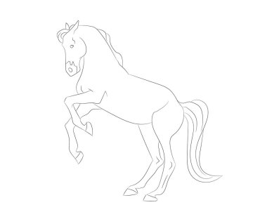 at vektörü çizimi, çizgi çizimi, vektör, beyaz arkaplan