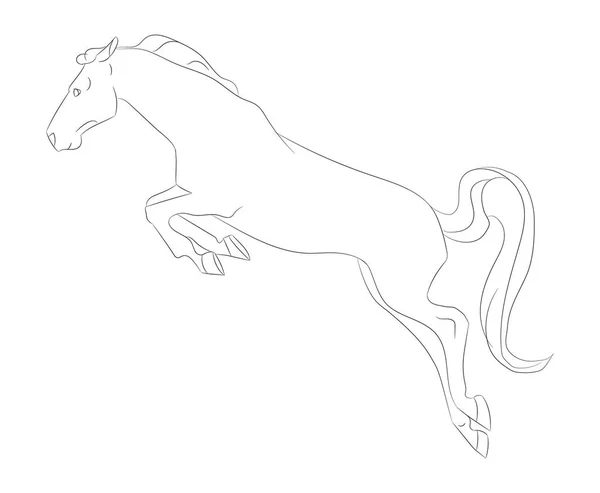 馬のベクトル図線画ベクトル白地 — ストックベクタ