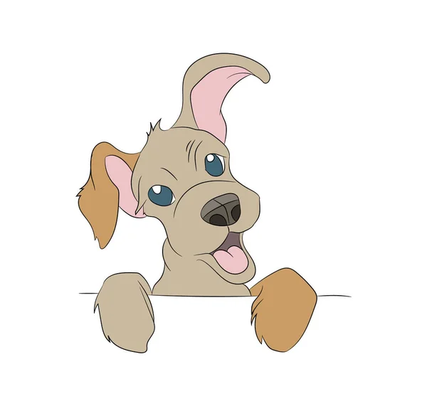 Portrait Chien Illustration Vectorielle Illustration Couleur Vecteur Fond Blanc — Image vectorielle