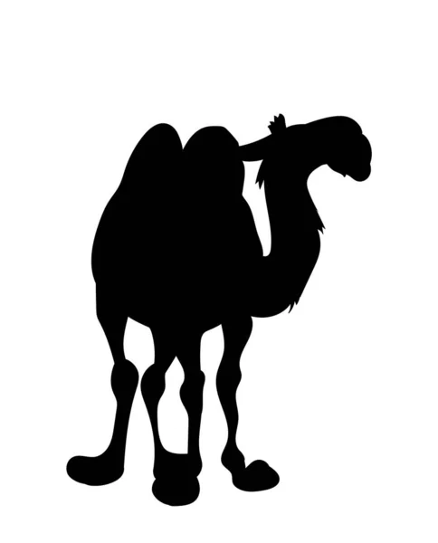 Vector Illustration Camel Standing Drawing Silhouette Vector White Background — Stock Vector