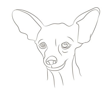 köpek portresi çizimi, çizgi çizimi, vektör, beyaz arkaplan