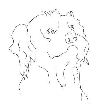 köpek portresi çizimi, çizgi çizimi, vektör, beyaz arkaplan